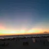 thiagoil8