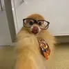 thichanmicayy6