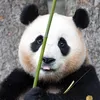 fubao9090
