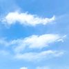 litlecloud_2