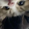 thuhienn_0306