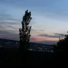 senua_tropof