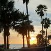 beachbound41