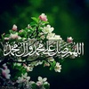 noor_mohammed_14