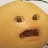 木橘