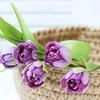 _syed_002