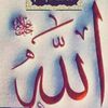 zakir.743