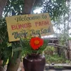 bongfarmrestaurent