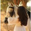 rahil.ch51