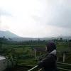 d14nmufid