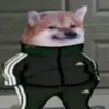 olaf741x