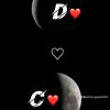 chardinamadidi