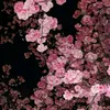 ksyu_m41
