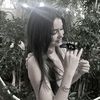 xediess_0