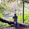 bintanglaut69_