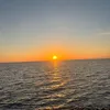 zoey_8509