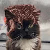 1capitanfox
