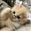 maishapookie1