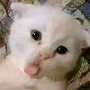 azulmb332
