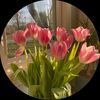 ezcarlet_06