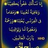 user8268380119520