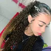 doardaslv.m