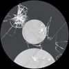 belonley1