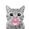 puderzucker_zuckerwatte