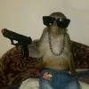 useryhw7m46pix