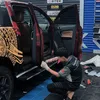 tinhwrap