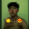 paimon_lr
