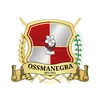 osis sman 1 grati