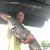catfish_will