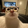 shizzyjsjf