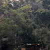 ptkt_1203