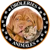 funnysworldanimal