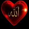 abo.ali0231
