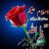 shahbazhaider8773