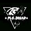 plg_squad2