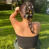 stella_cescutti