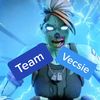 team_vexsie