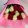 aisha_212020
