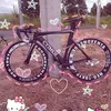 phan.tn.212