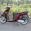 hoang.vo460