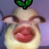 april_kalsel0