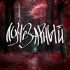 luchezarnyy_36