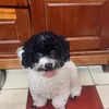 user1336001459611