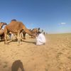 abu_falah_m_f