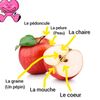 user8956967587668