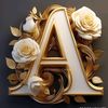 ashuulodhi2